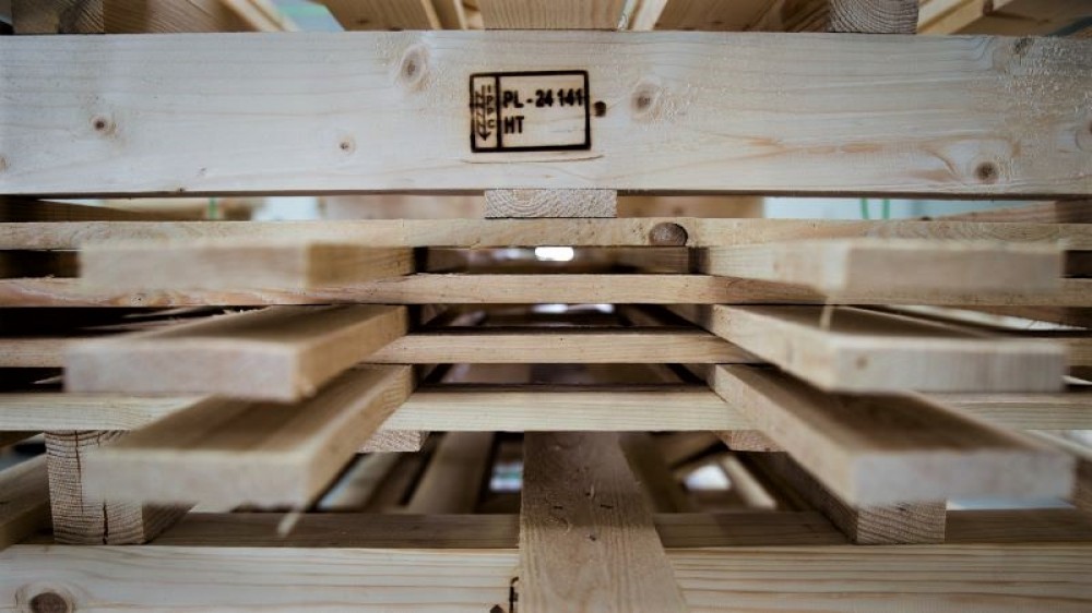 Suszenie drewna na opakowania – bezpieczeństwo fitosanitarne